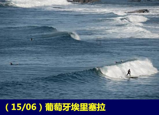 拯救小松鼠